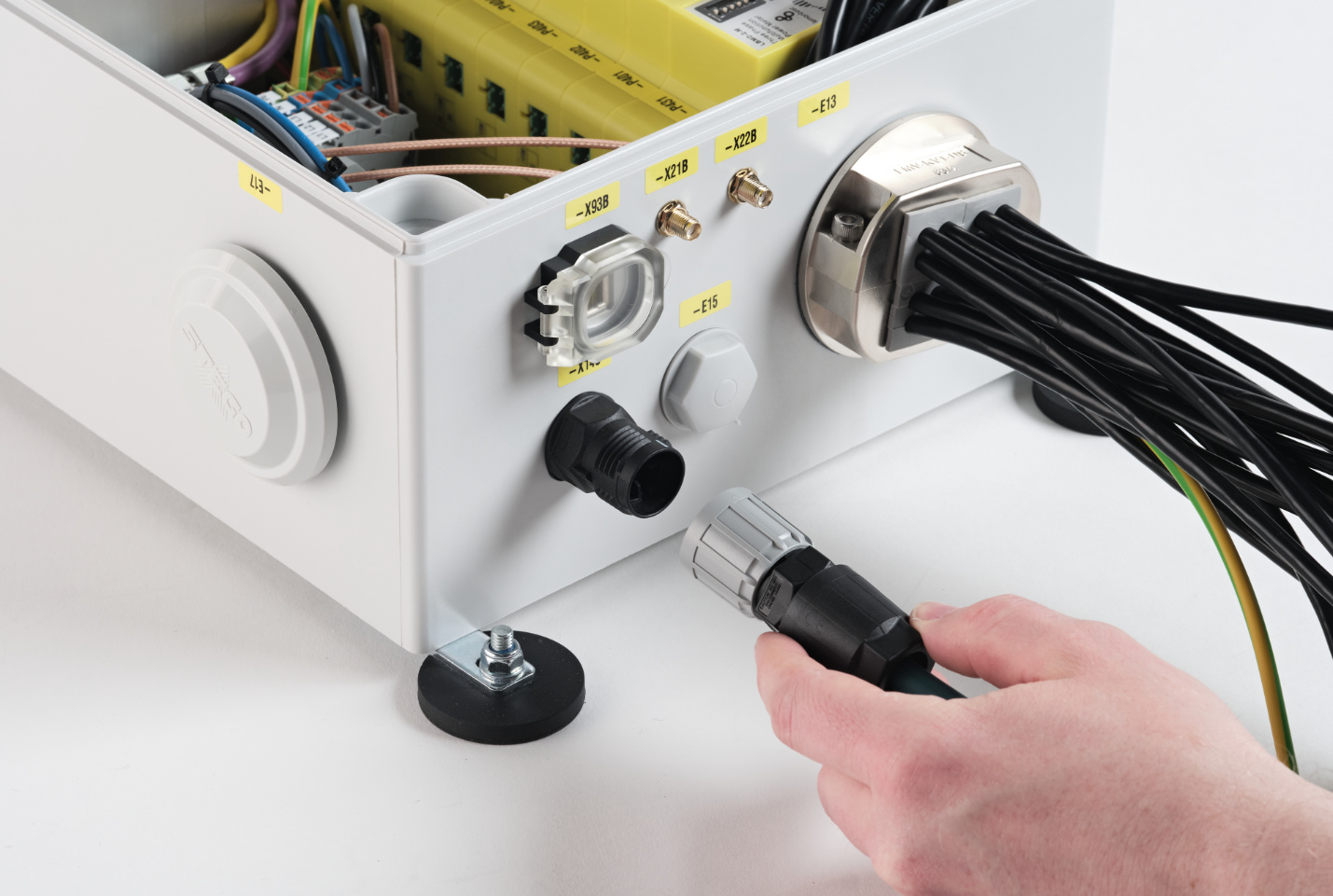 qpd stecker von phoenixcontact